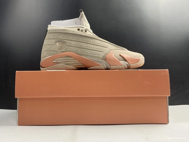 Retro Terra 14 Low Clot Blush Jordan DC9857-200 AIR 0821